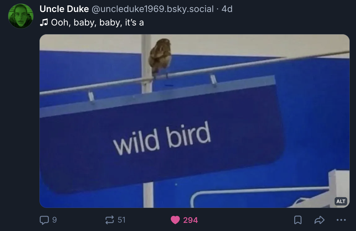 A Mastodon or Bluesky post